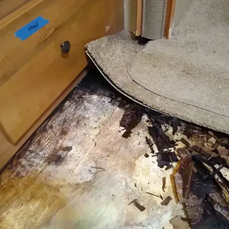 Best Wood Floor Water Damage Service in West Point, GA